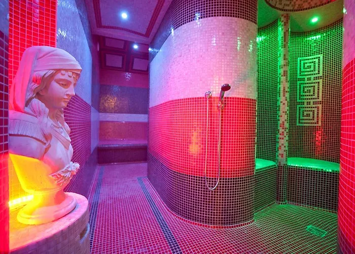 Palac Saturna Resort Czeladz